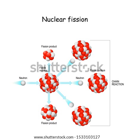 nuclear fission. process in which the nucleus of atom splits into smaller parts. vector illustration for science, educational, physics and chemistry use. 