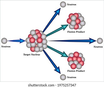 Nuclear Fission is a nuclear reaction or a radioactive decay process in which the nucleus of an atom splits into two or more smaller,