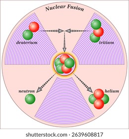 Nuclear fusion is the process of making a single heavy nucleus (part of an atom) from two lighter nuclei. This process is called a nuclear reaction. It releases a large amount of energy.