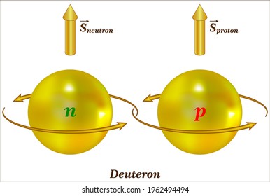 Nuclear Spins Interact With Surrounding Electrical Environment And Electron Spins Interact With Surrounding Nuclear Spin Environment.