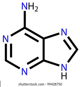 Nucleobase adenine structural formula