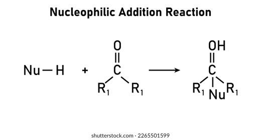 Nucleophilic addition reaction in chemistry.