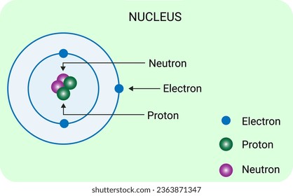 A nucleus, as related to genomics, is the membrane-enclosed organelle within a cell that contains the chromosomes. 