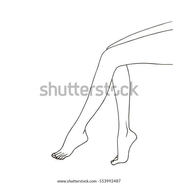 Nude Females Legs Line Drawing Illustration Arkivvektor Royaltyfri