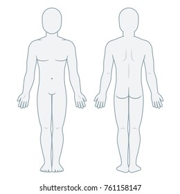 Anatomical Drawing Of Human Body : Human Anatomy Fundamentals Basic Body Proportions