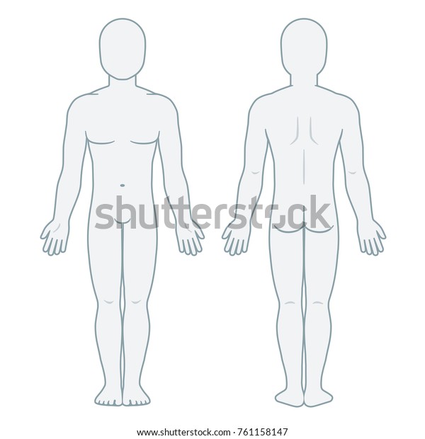 Nude Male Body Front And Back View Blank Man Body Template For Medical Infographic Isolated