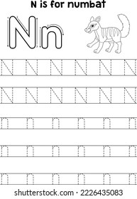 Numbat Animal Tracing Letter ABC Coloring Page N