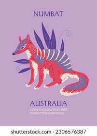 Numbat Australian animal poster with text, flat vector illustration. Banner with concepts of Australian animals and nature. Kids educational card.