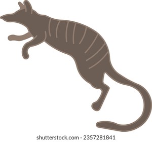 Numbat Australian numbat Australian animal wild