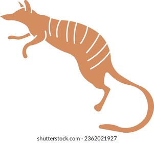 Numbat Australian numbat Australian animal wild