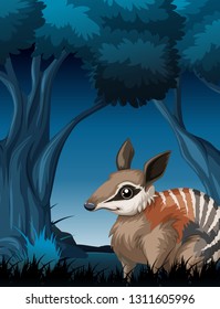 A numbat in dark forest illustration