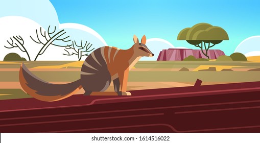 Numbat Enjoying The Sun In Australia Desert Australian Wild Animal Wildlife Fauna Concept Landscape Background Horizontal Vector Illustration