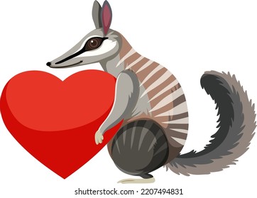 Numbat holding heart isolated illustration
