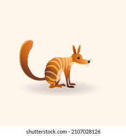 Numbat, Marsupial anteater. Australian wild animal. Vector illustration isolated on white background. 