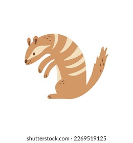 Numbat. Vector illustration of cute safari animal.