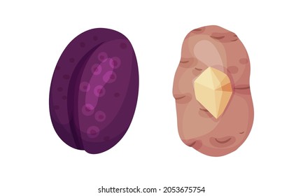 Number 0 Zero made of fresh plum and potato cartoon vector illustration