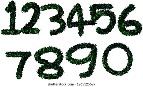 Number 1 to 0, fresh green in a white background as Illustration and vector
