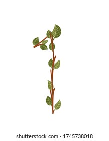 Number 1 brown tree branches with green leaves eco font flat vector illustration isolated on white background