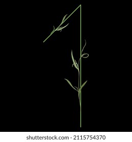 Number 1. Digit one. Botanical digit. Beautiful floral font with delicate green leaves or branches of grass. Isolated vector illustration. On black background.