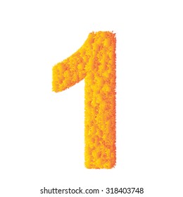 Number 1 made from orange grass. Vector illustration.
