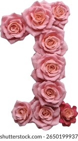 O número "1" número um é representado usando um arranjo estilizado de rosas cor-de-rosa, criando uma representação visualmente atraente e única do dígito.
