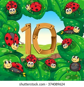 Number 10 with 10 ladybugs on leaves illustration