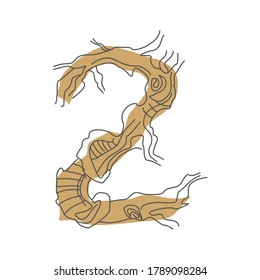 Nummer 2. Dekorative Schriftart aus Baumwurzeln. Umweltdesign. Naturtypografie