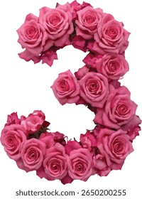 O número "3" três é retratado usando um arranjo vibrante de rosas cor-de-rosa, criando uma representação visualmente atraente e única do dígito.