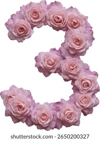 The number "3" three is depicted using numerous pale pink roses meticulously arranged to form the numerical shape, creating a visually striking and floral representation.