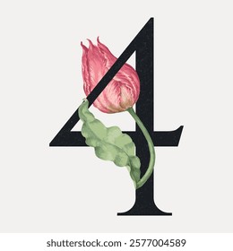 Number 4 botanical calligraphic art vector element. Vintage art drawing illustration, old painting art print. Isolated vintage art illustration, vector element. Number four with tulip flower.