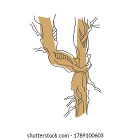 Number 4. Decorative font from tree roots. Environmental design. Nature typography