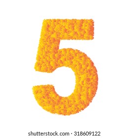 Number 5 made from orange grass on a plain white background