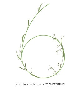 Número 6. Dígito seis. Dígito botánico. Bella fuente floral con delicadas hojas verdes o ramas de césped. Ilustración vectorial aislada. Sobre fondo blanco.