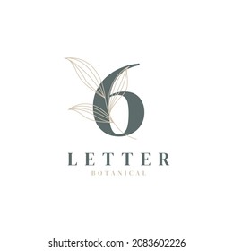 Number 6 Floral and Botanical Logo. Nature Leaf Feminine for Beauty Salon, Massage, Cosmetics or Spa Icon Symbol