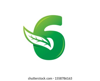 Number 6 logo or symbol template design