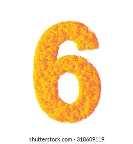 Number 6 made from orange grass on a plain white background