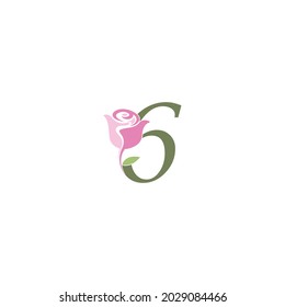 Number 6 with rose icon logo vector template illustration