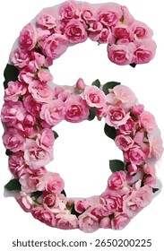 O número "6" seis é retratado usando um arranjo vibrante de rosas cor-de-rosa, criando uma representação floral e visualmente atraente do dígito.