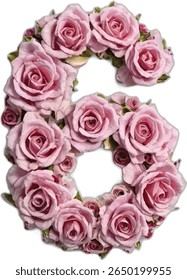 A number "6" six is formed by a lovely arrangement of light pink roses, creating a visually appealing and elegant floral numeral design.