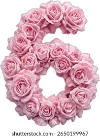 A number "6" six is formed by an arrangement of many light pink roses, creating a visually appealing and aesthetically pleasing floral digit.