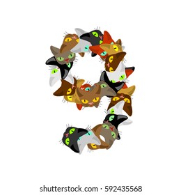 Number 9 cat font. Cats number nine. Pet alphabet sign. home animal ABC
