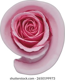 A number "9" vibrant pink rose, meticulously detailed with watercolor-like strokes, is nestled within a delicate, swirling petal-shaped frame, creating a visually captivating and romantic image.
