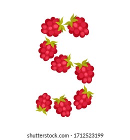 Number Arrranged From Raspberry Isolated on White Background Vector Illustration