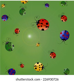 A number of colorful ladybirds in two dimension view, randomly walking around. Red, green, yellow and blue ladybirds in a light green background.