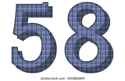 Número Cincuenta Y Ocho Con Ilustración De Vectores Textiles. Número 58 Con Patrón De Placa Aislado En Fondo Blanco
