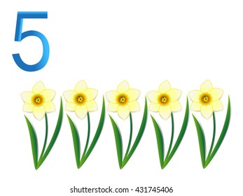 Number five, narcissus.