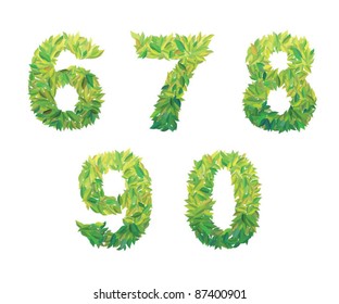 Number of leaves: 6 7 8 9 0  leaves (leafs) of the tree type