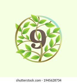Number nine logo made of twisted tree branches and green leaves in circle. Ecology vector font for vegan emblem, botanical identity, creative spring t-shirts, organic merchandise.