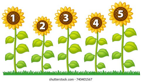 Number one to five on sunflowers illustration