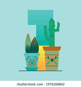 The number one and succulents